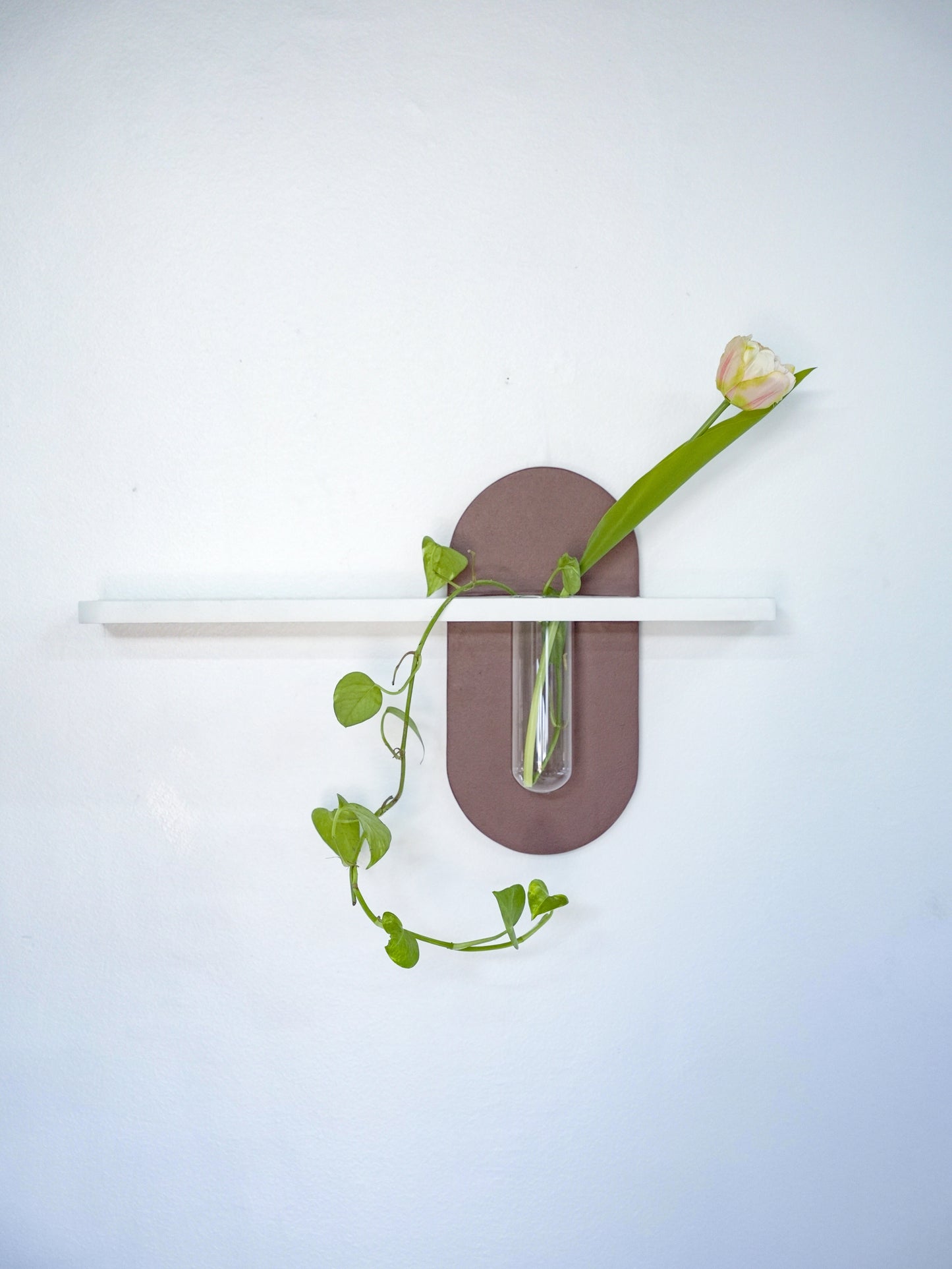 Plantora Shelf 2