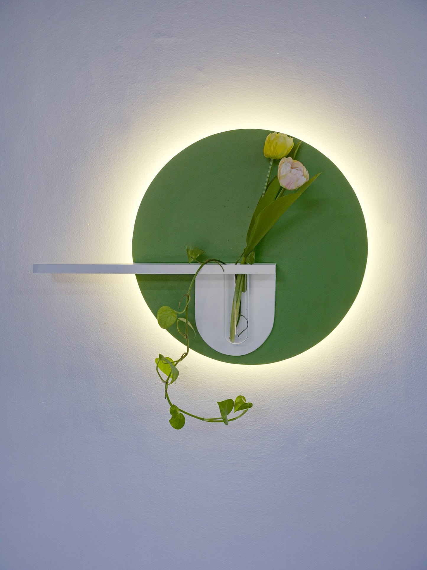 Plantora Shelf